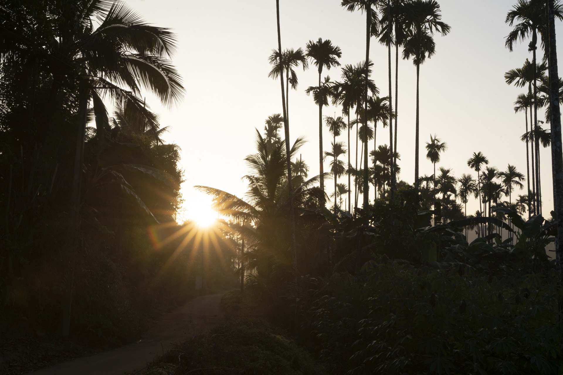 Sunrise hillock view